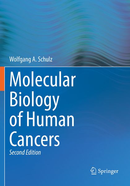 Produktbild: Molecular Biology of Human Cancers | Wolfgang A. Schulz