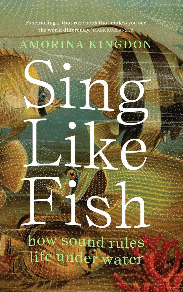 Produktbild: Sing Like Fish | Amorina Kingdon