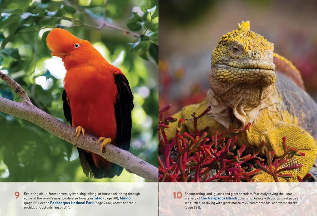 Weitere Ansicht: Moon Ecuador & the Galapagos Islands | Bethany Pitts