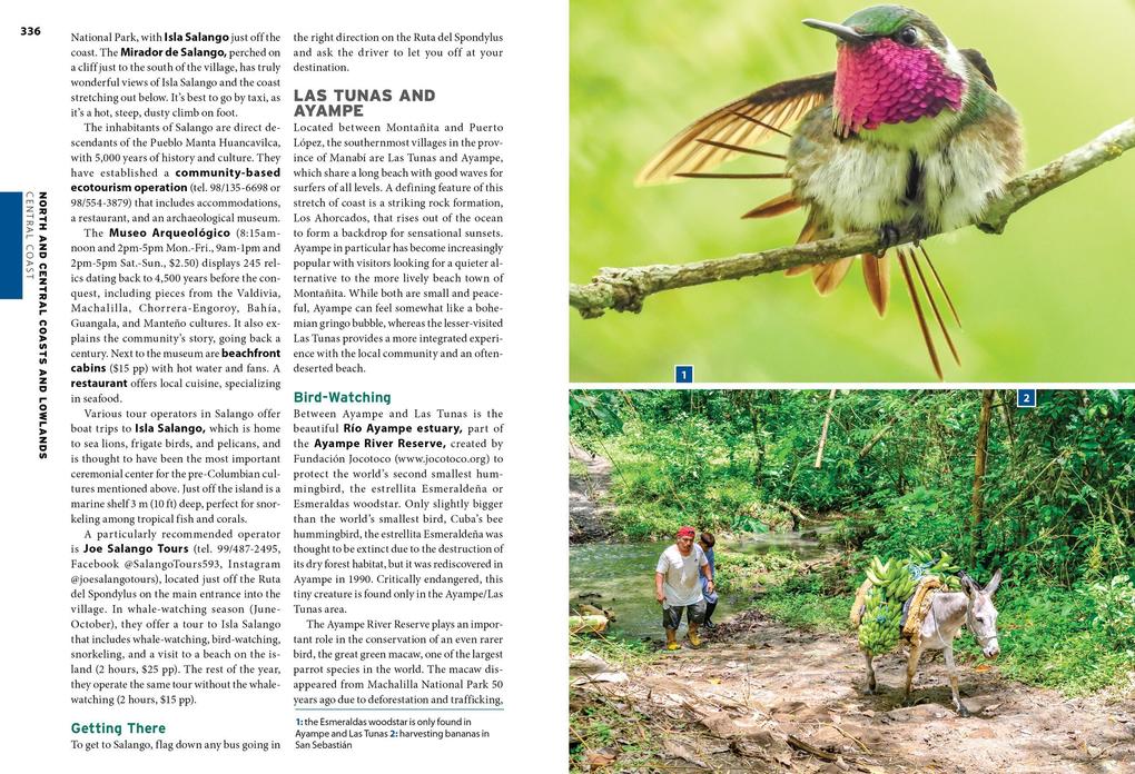 Weitere Ansicht: Moon Ecuador & the Galapagos Islands | Bethany Pitts