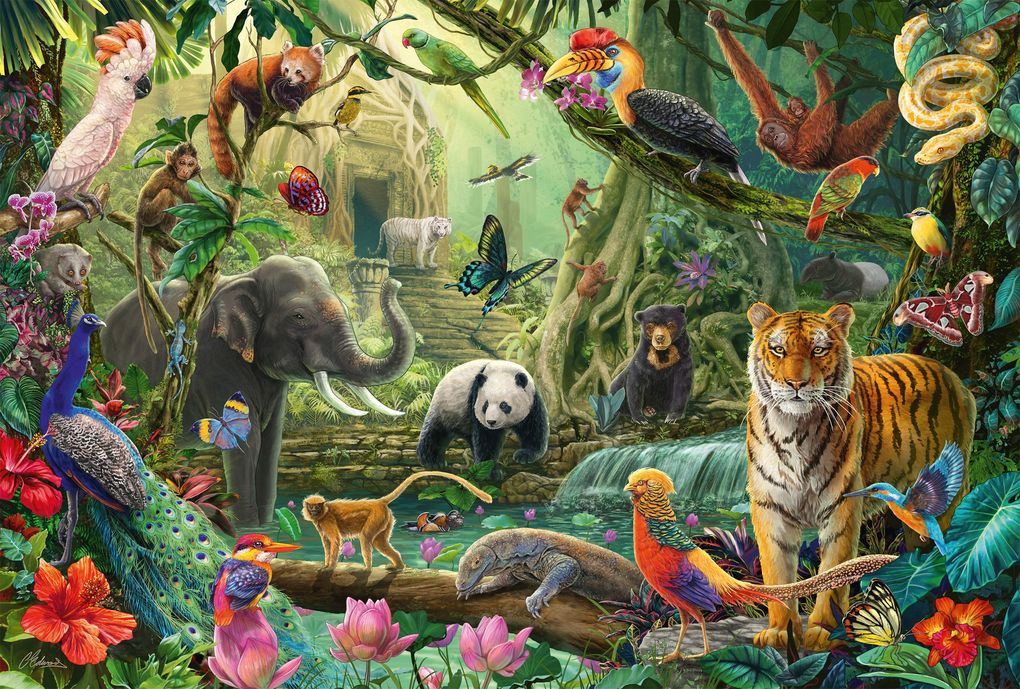 Weitere Ansicht: Bunte Tierwelt im Dschungel