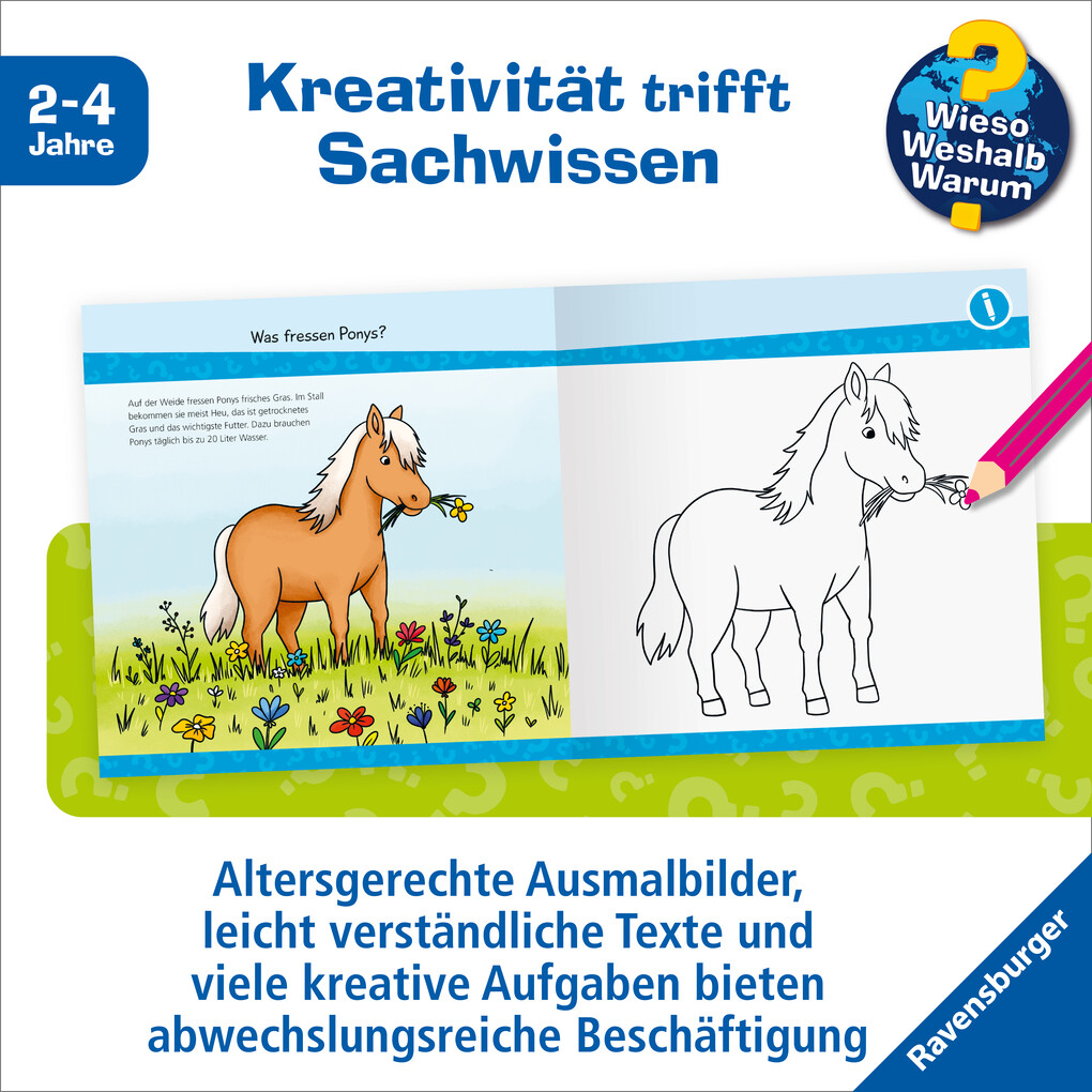 Weitere Ansicht: Wieso? Weshalb? Warum? junior AKTIV - Auf dem Ponyhof