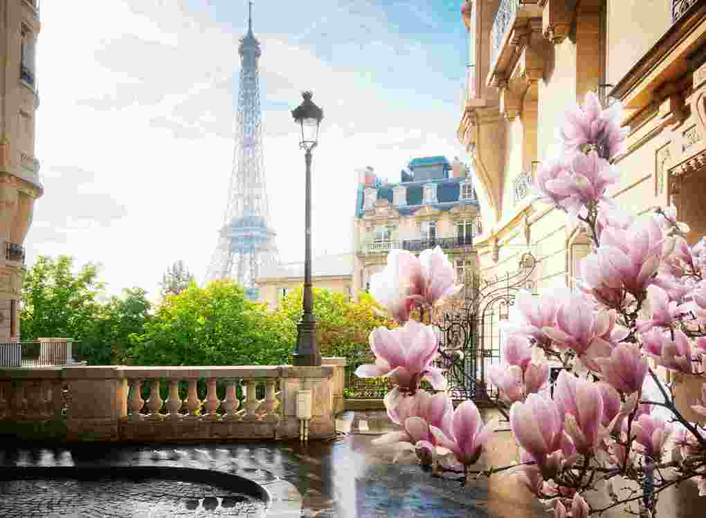 Weitere Ansicht: 500 Teile - Frühling in Paris