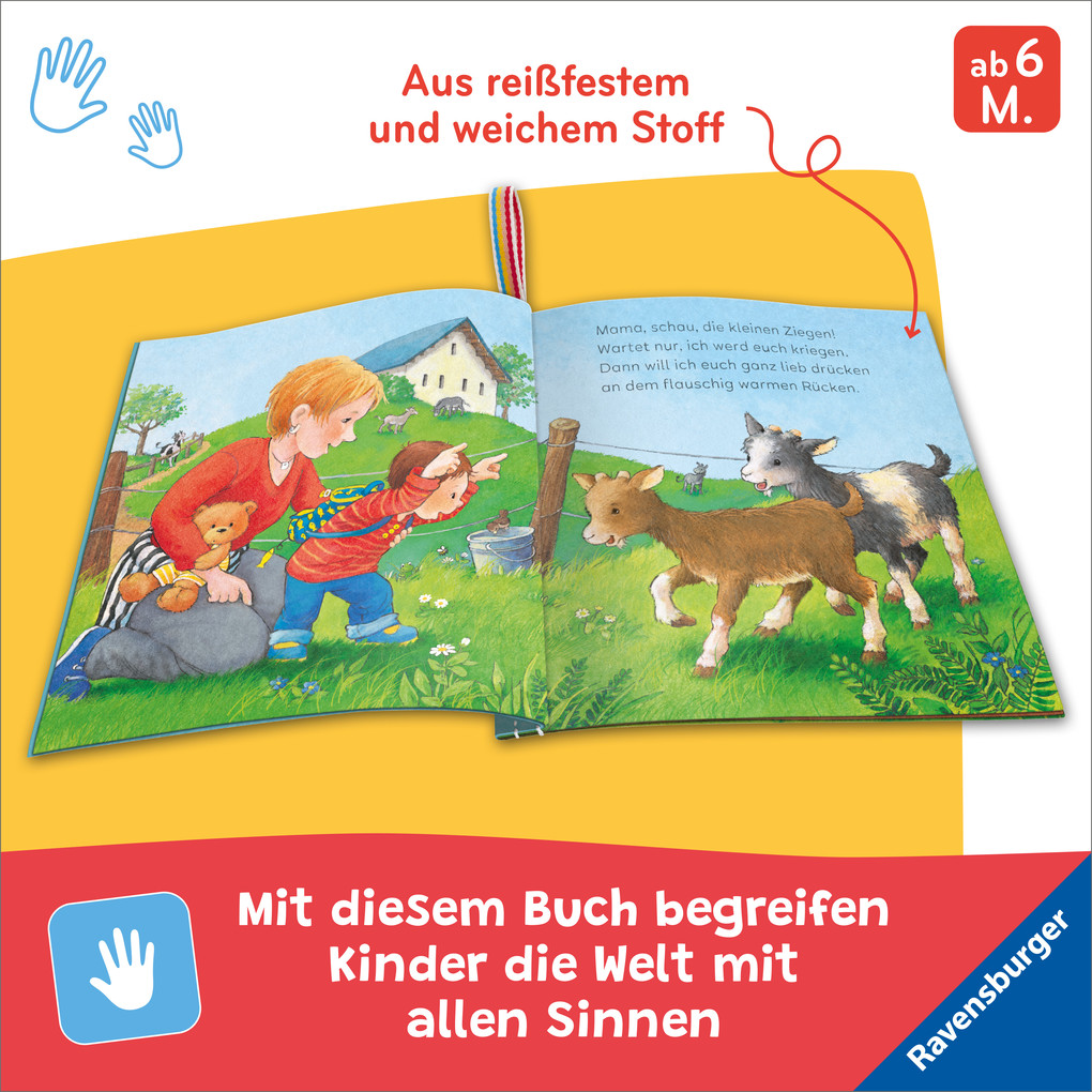 Weitere Ansicht: Mein Knuddel-Knautsch-Buch - Meine Tierkinder | Sandra Grimm