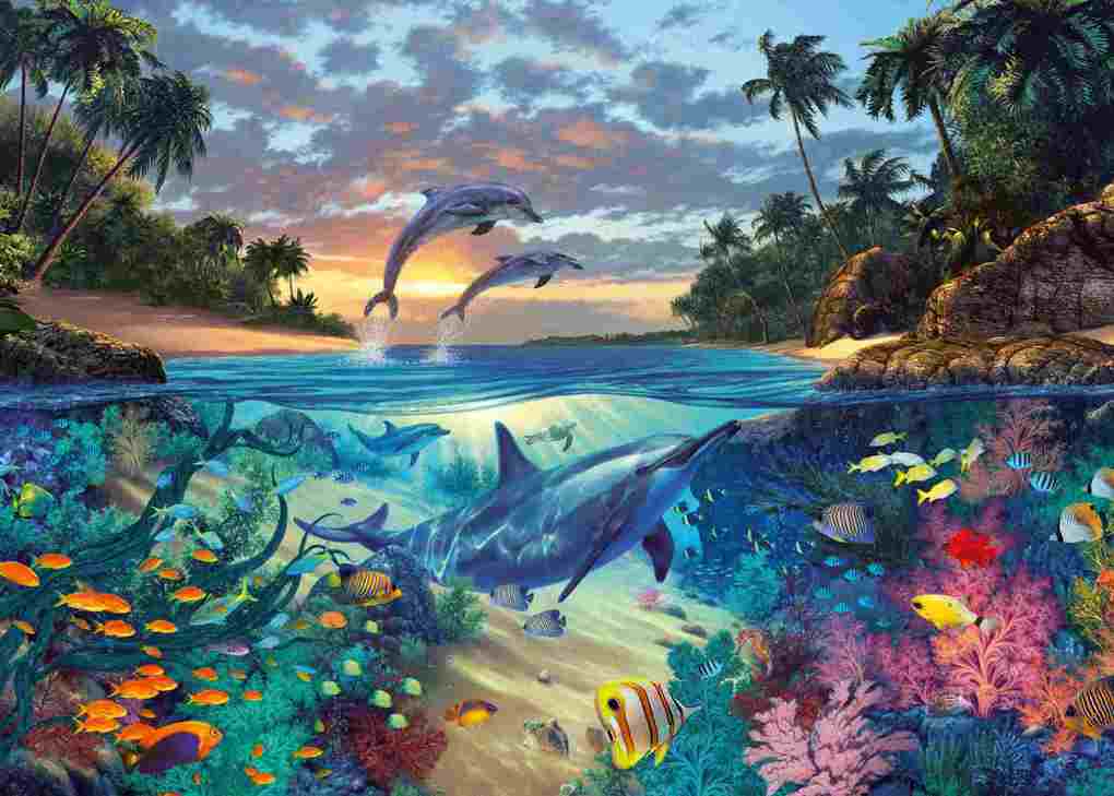 Weitere Ansicht: Erwachsenenpuzzle 1000 Teile - Korallenbucht