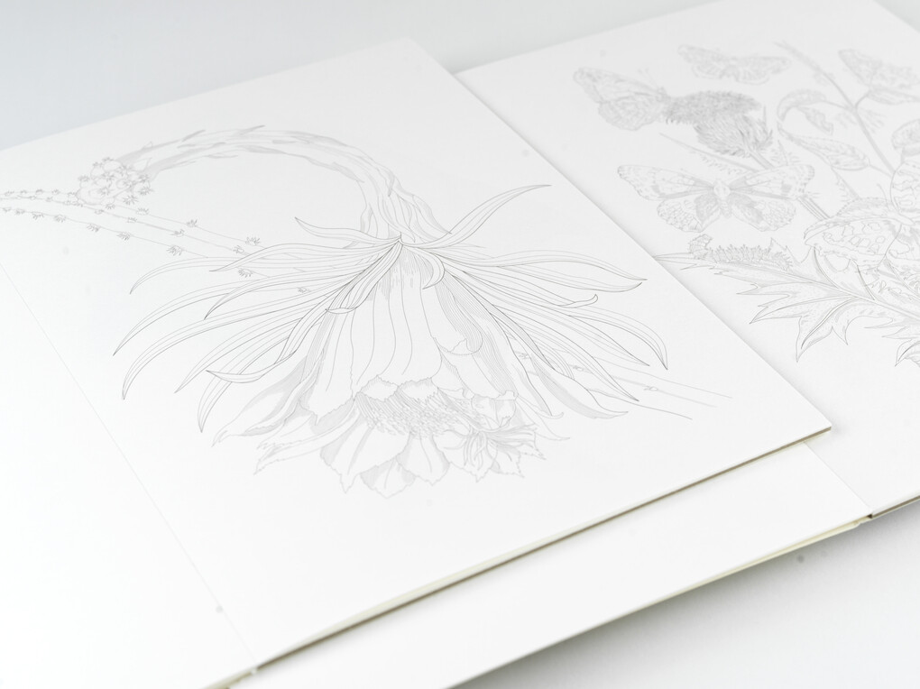 Weitere Ansicht: Natural History | Pepin van Roojen