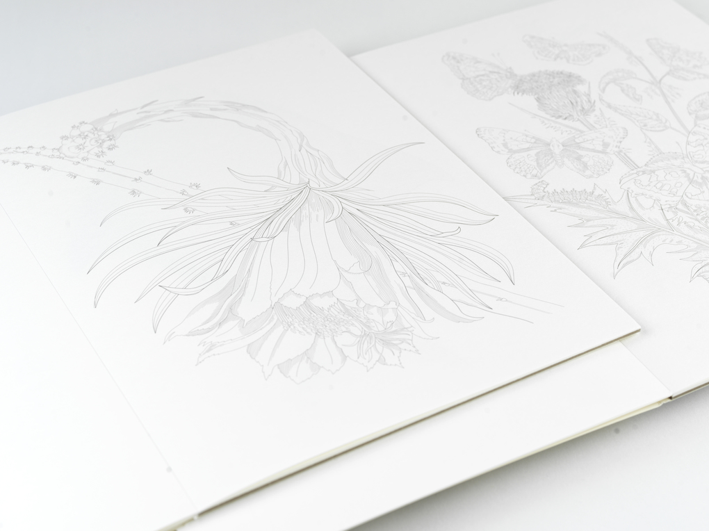 Weitere Ansicht: Natural History | Pepin Van Roojen