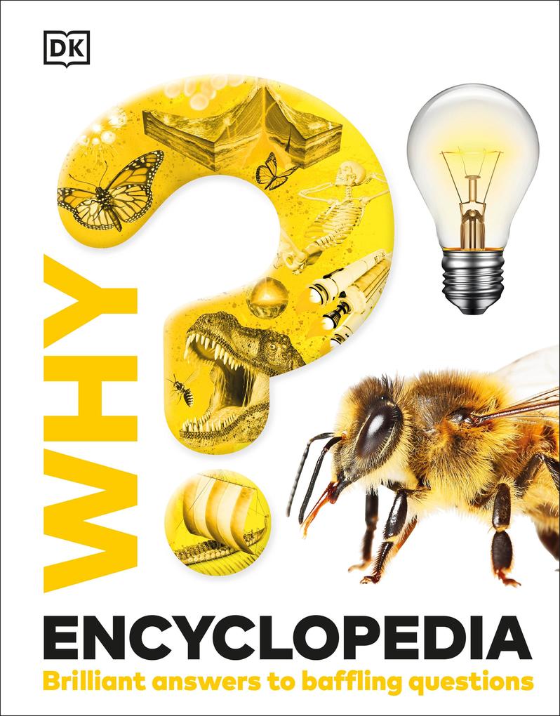 Produktbild: Why? Encyclopedia | Dk
