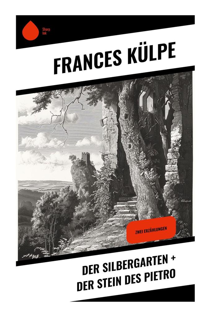 Produktbild: Der Silbergarten + Der Stein des Pietro | Frances Külpe