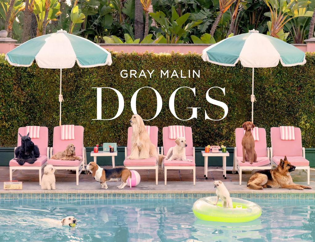 Produktbild: Gray Malin: Dogs | Gray Malin