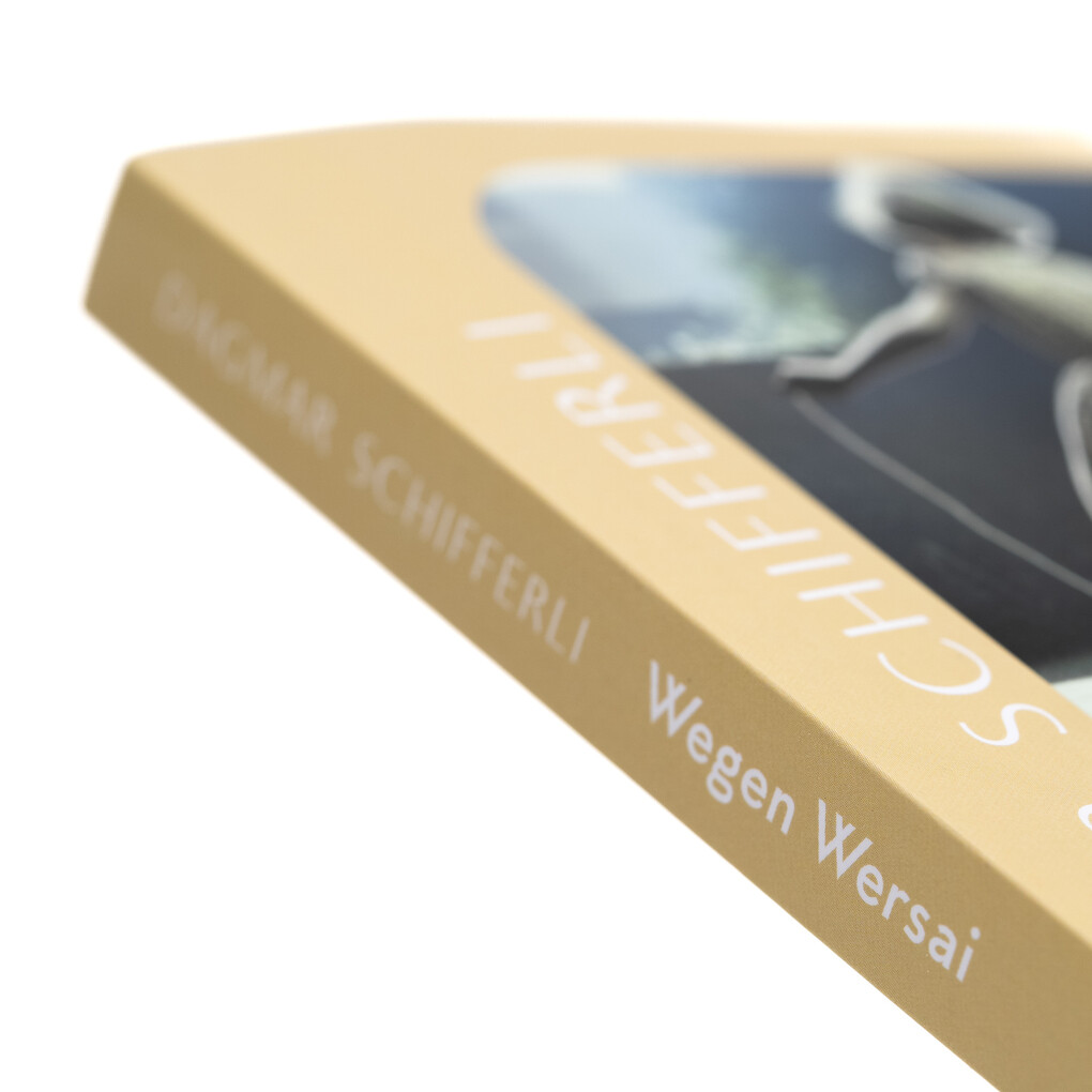 Weitere Ansicht: Wegen Wersai | Dagmar Schifferli