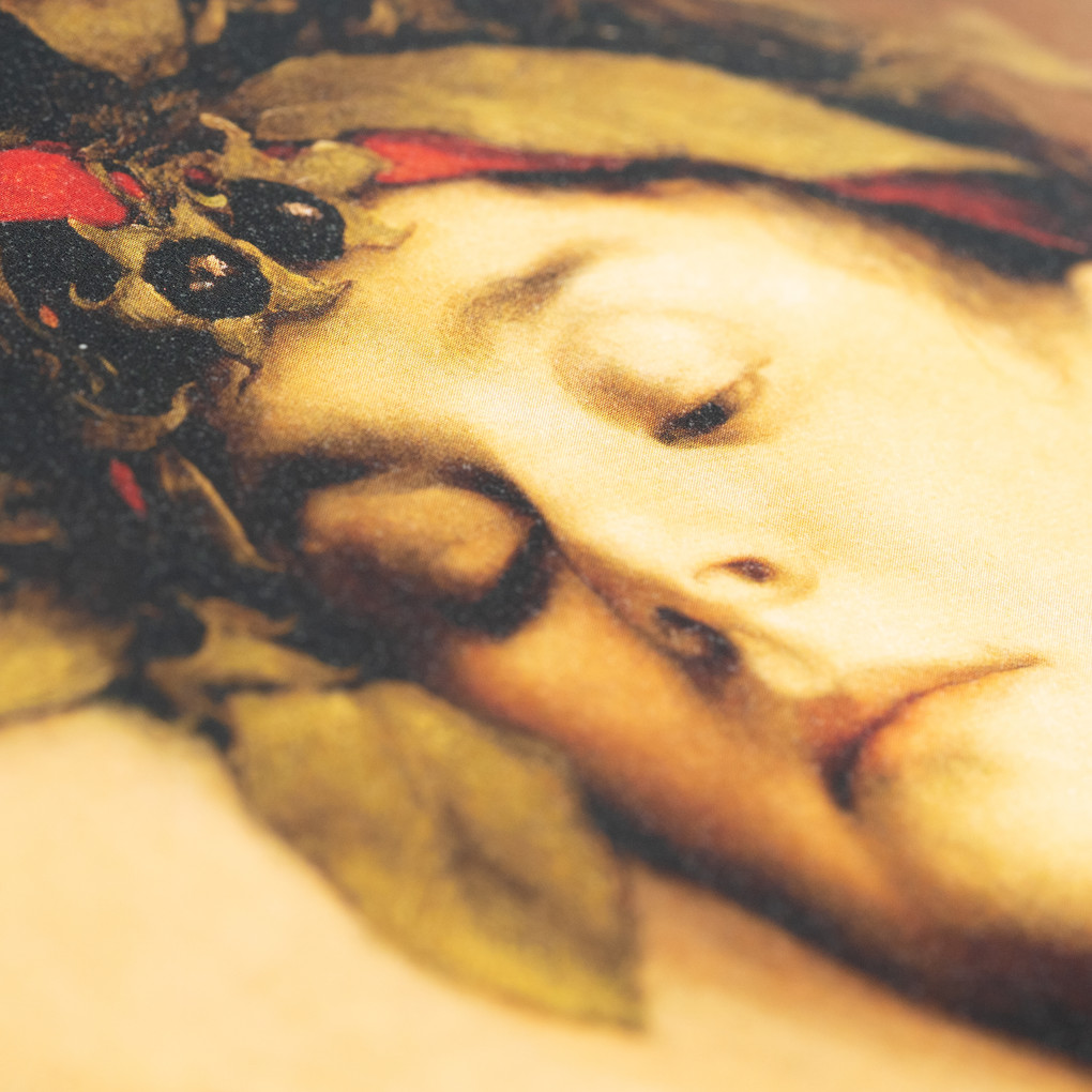 Weitere Ansicht: Fatale Flora. Von giftigen Pflanzen und gemeinen Menschen | Noemi Harnickell