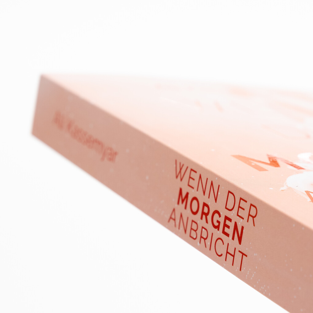 Weitere Ansicht: Wenn der Morgen anbricht | Ali Kassemyar