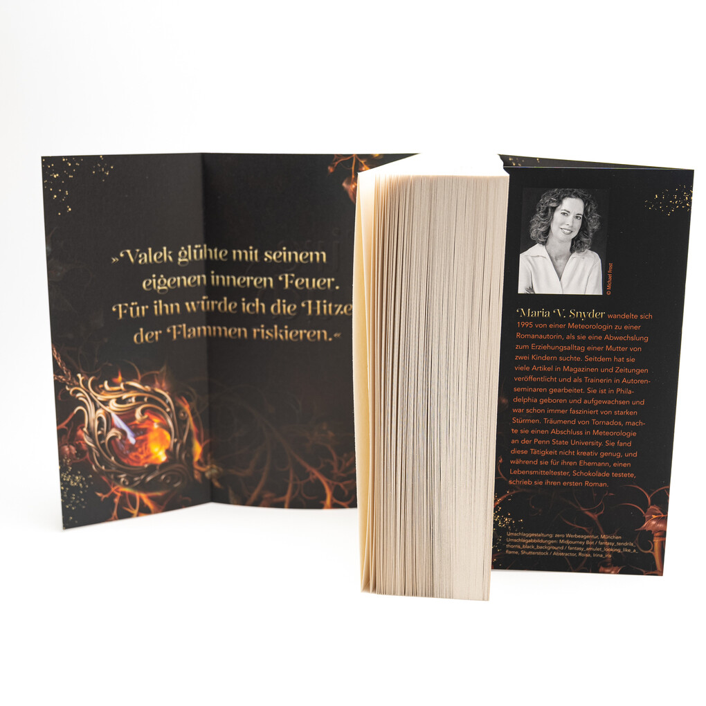 Weitere Ansicht: Fire Study | Maria V. Snyder