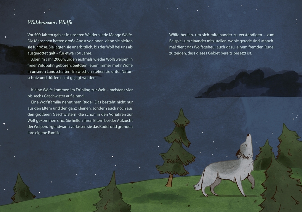 Weitere Ansicht: Die schönsten Geschichten aus dem Wald | Anne Rummenie