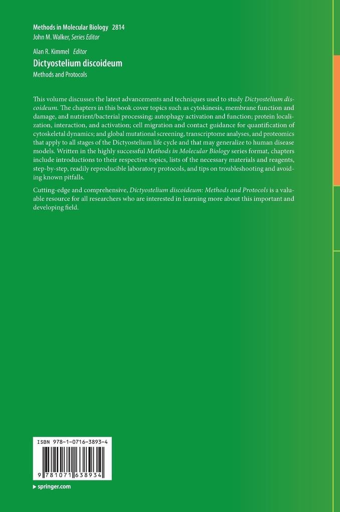 Weitere Ansicht: Dictyostelium discoideum