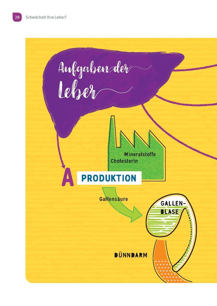 Weitere Ansicht: Wunderleicht Leberreinigung | Lulit Wunder, Dl Mabon Wunder BSc