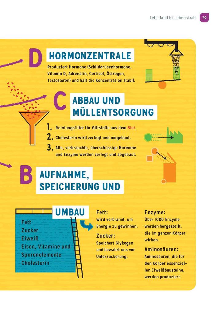 Weitere Ansicht: Wunderleicht Leberreinigung | Lulit Wunder, Dl Mabon Wunder BSc