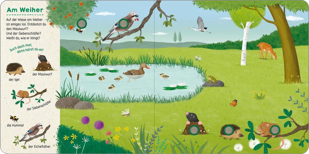 Weitere Ansicht: Such mal, hör mal! Bei den Tieren