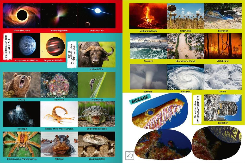 Weitere Ansicht: Das gefährlichste Stickerheft der Welt
