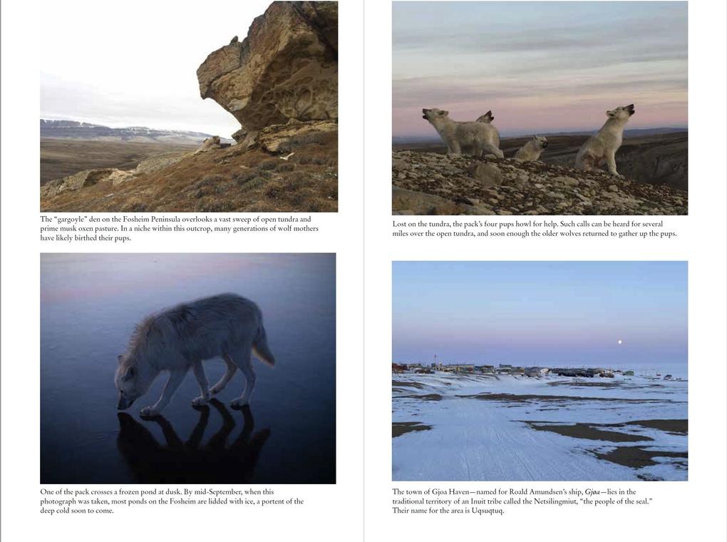 Weitere Ansicht: Frostlines | Neil Shea