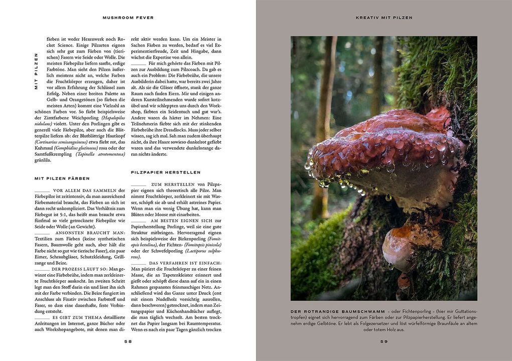 Weitere Ansicht: Mushroom Fever | Moritz Schmid