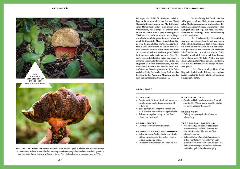 Weitere Ansicht: Mushroom Fever | Moritz Schmid