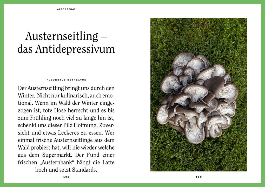 Weitere Ansicht: Mushroom Fever | Moritz Schmid