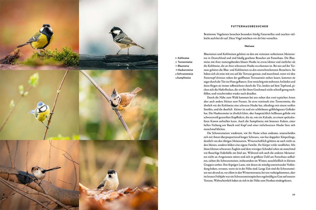 Weitere Ansicht: Moments in Nature | Gamander López, Una López