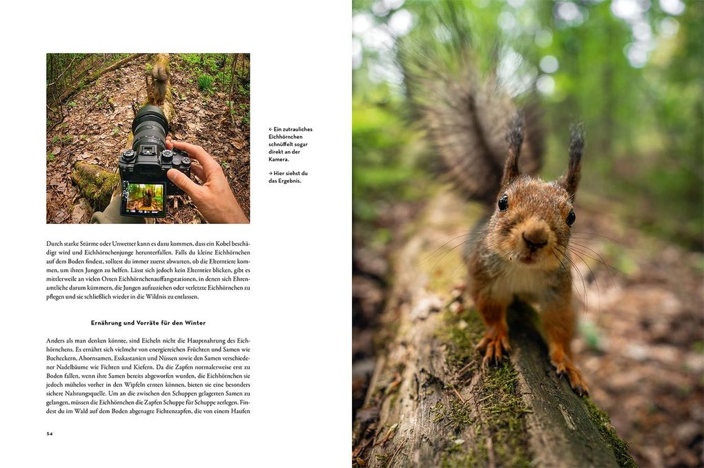 Weitere Ansicht: Moments in Nature | Gamander López, Una López