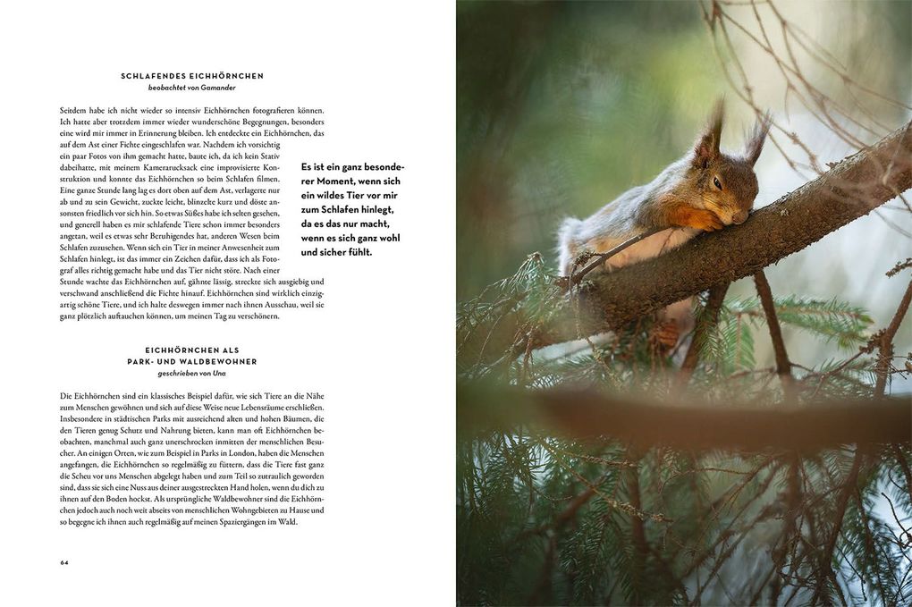 Weitere Ansicht: Moments in Nature | Gamander López, Una López