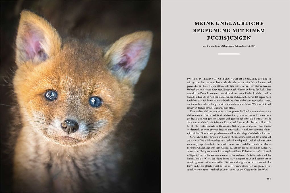 Weitere Ansicht: Moments in Nature | Gamander López, Una López