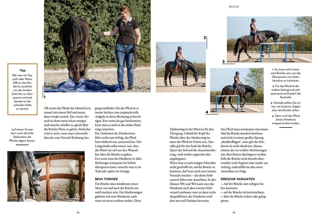 Weitere Ansicht: Working Equitation | Mirjam Wittmann
