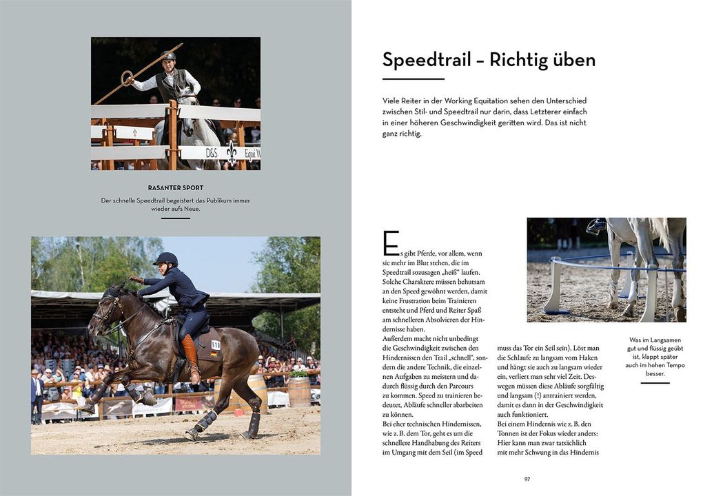 Weitere Ansicht: Working Equitation | Mirjam Wittmann