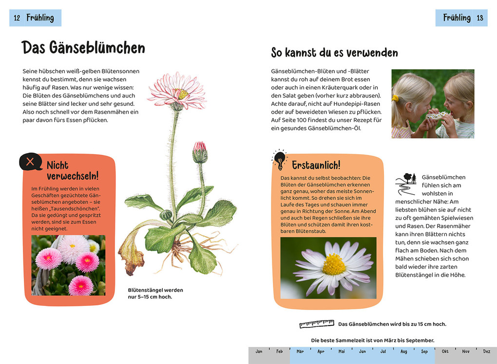 Weitere Ansicht: Welche essbare Pflanze ist das? Kindernaturführer | Katrin Hecker, Frank Hecker