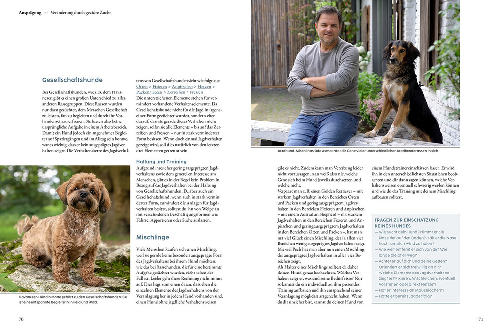 Weitere Ansicht: Jagdverhalten bei Hunden | Martin Rütter, Andrea Buisman