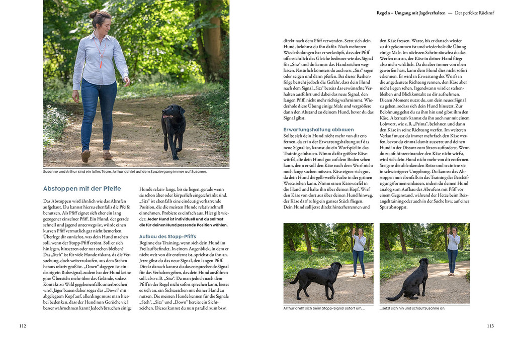 Weitere Ansicht: Jagdverhalten bei Hunden | Martin Rütter, Andrea Buisman