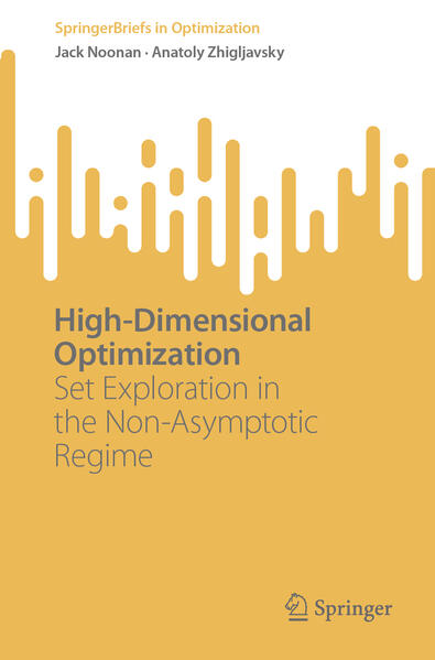Produktbild: High-Dimensional Optimization | Jack Noonan, Anatoly Zhigljavsky