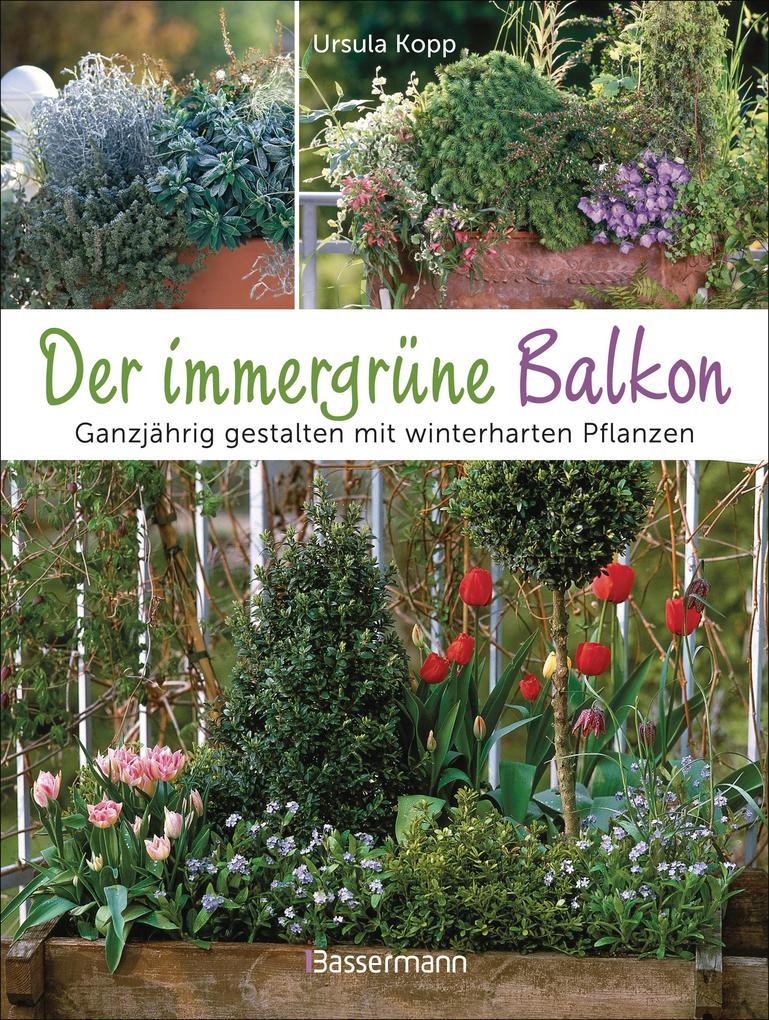 Produktbild: Der immergrüne Balkon. Ganzjährig gestalten mit winterharten Pflanzen | Ursula Kopp