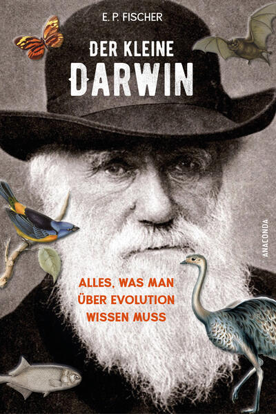 Produktbild: Der kleine Darwin. Alles, was man über Evolution wissen muss | Ernst Peter Fischer