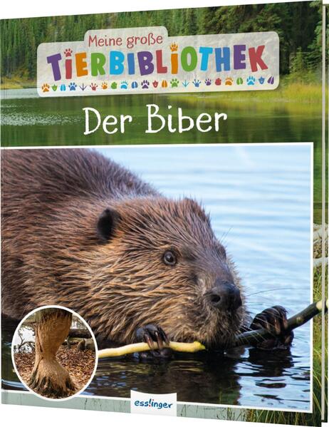 Produktbild: Meine große Tierbibliothek: Der Biber | Axel Gutjahr