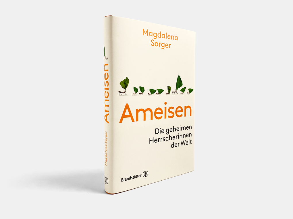 Weitere Ansicht: Ameisen | Magdalena Sorger