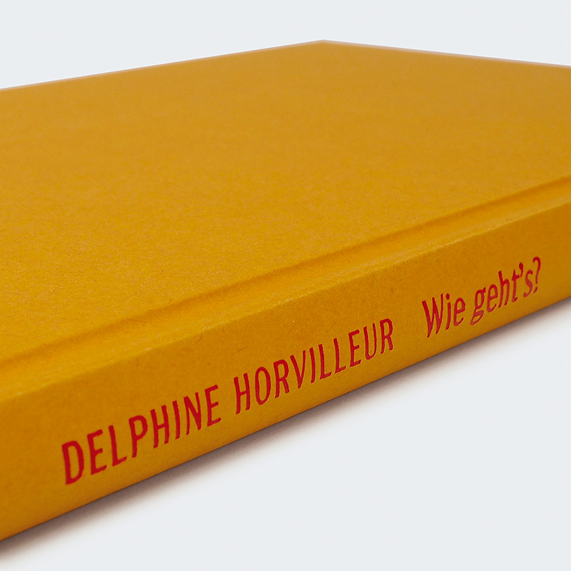 Weitere Ansicht: Wie geht's? | Delphine Horvilleur
