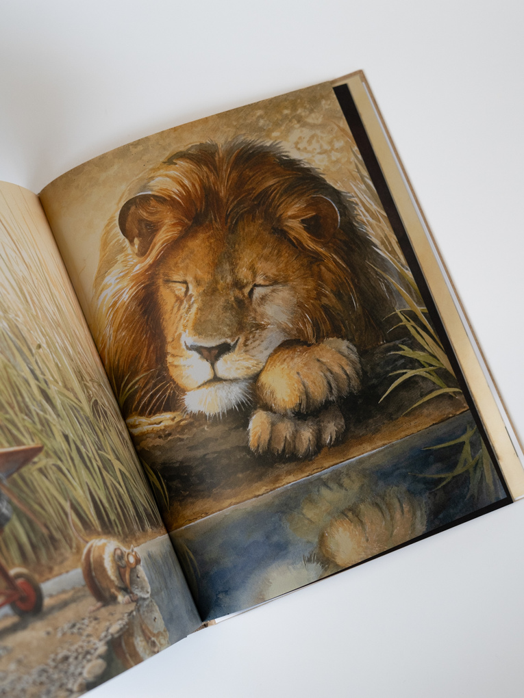 Weitere Ansicht: Earhart | Torben Kuhlmann