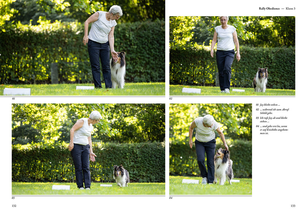 Weitere Ansicht: Rally Obedience | Sandra Vonderstein