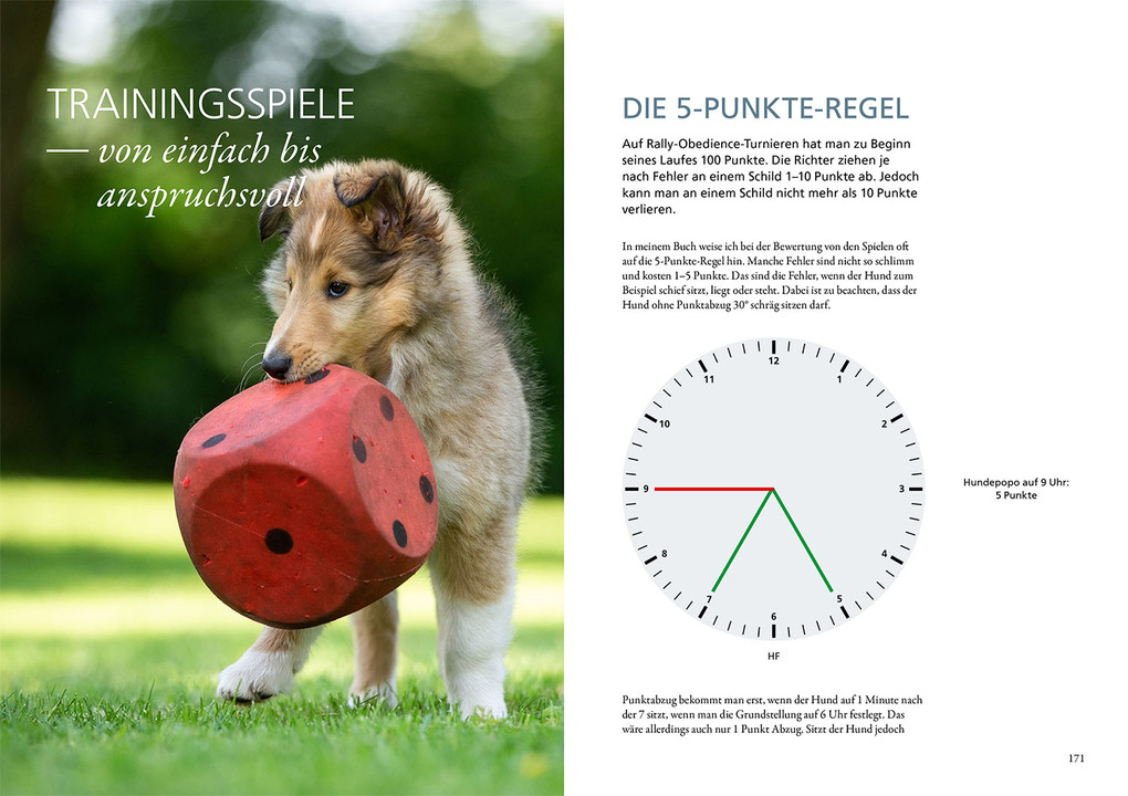 Weitere Ansicht: Rally Obedience | Sandra Vonderstein