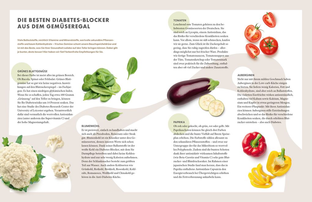 Weitere Ansicht: Die Ernährungs-Docs - Diabetes heilen - Unsere 100 besten Rezepte | Matthias Riedl, Jörn Klasen, Silja Schäfer, Viola Andresen