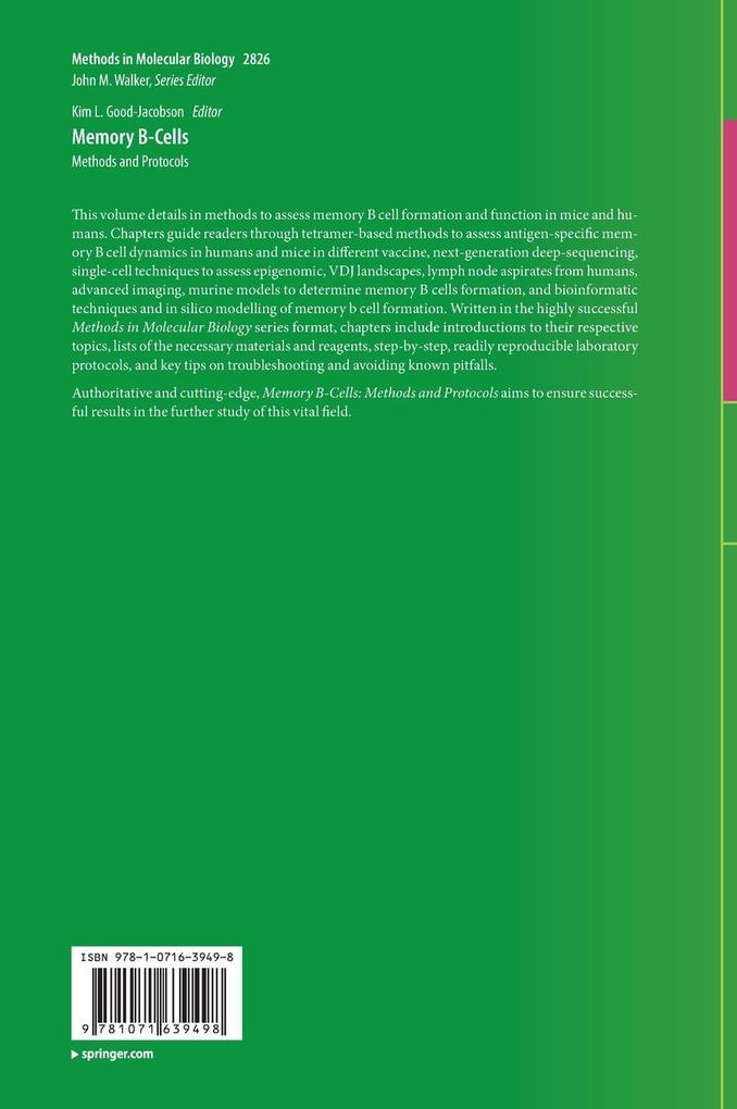 Weitere Ansicht: Memory B-Cells