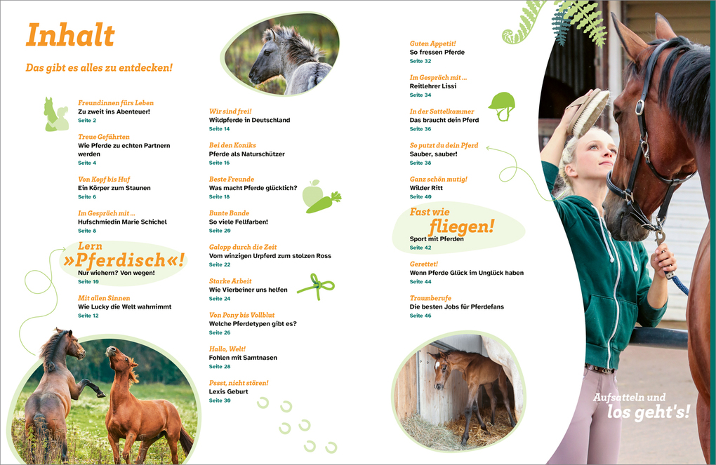 Weitere Ansicht: WAS IST WAS Pferde. Freunde, Freiheit, Abenteuer | Dela Kienle