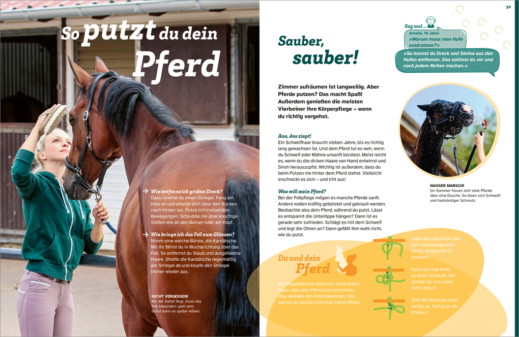 Weitere Ansicht: WAS IST WAS Pferde. Freunde, Freiheit, Abenteuer | Dela Kienle